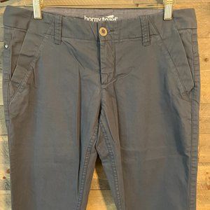 Like NEW!!!  100% Organic Cotton Horny Toad Kickstand Chino - Slate Blue- Size 8